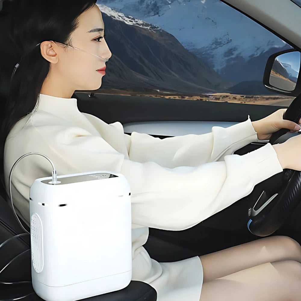 Portable 1-5L Adjustable Pulse Flow 4 Hours Battery Oxygen Concentrator - DF-012BX