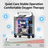 Home 2-9L Adjustable Continuous Flow Oxygen Concentrator - DF-011