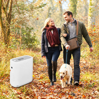 Portable 1-5L continuous flow oxygen concentrator for walking and outdoor use